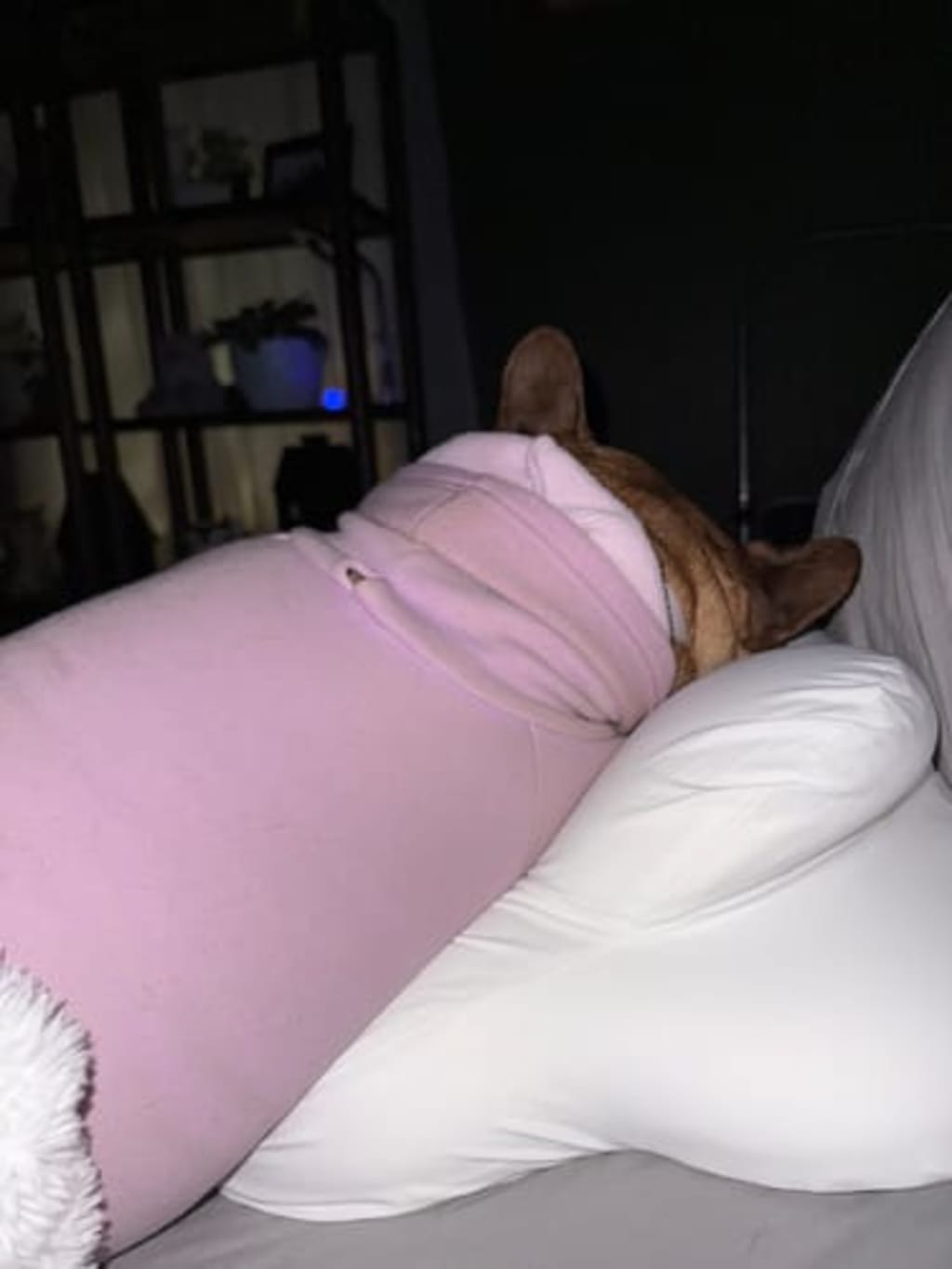 Mellow CloudAlign™ Pillow