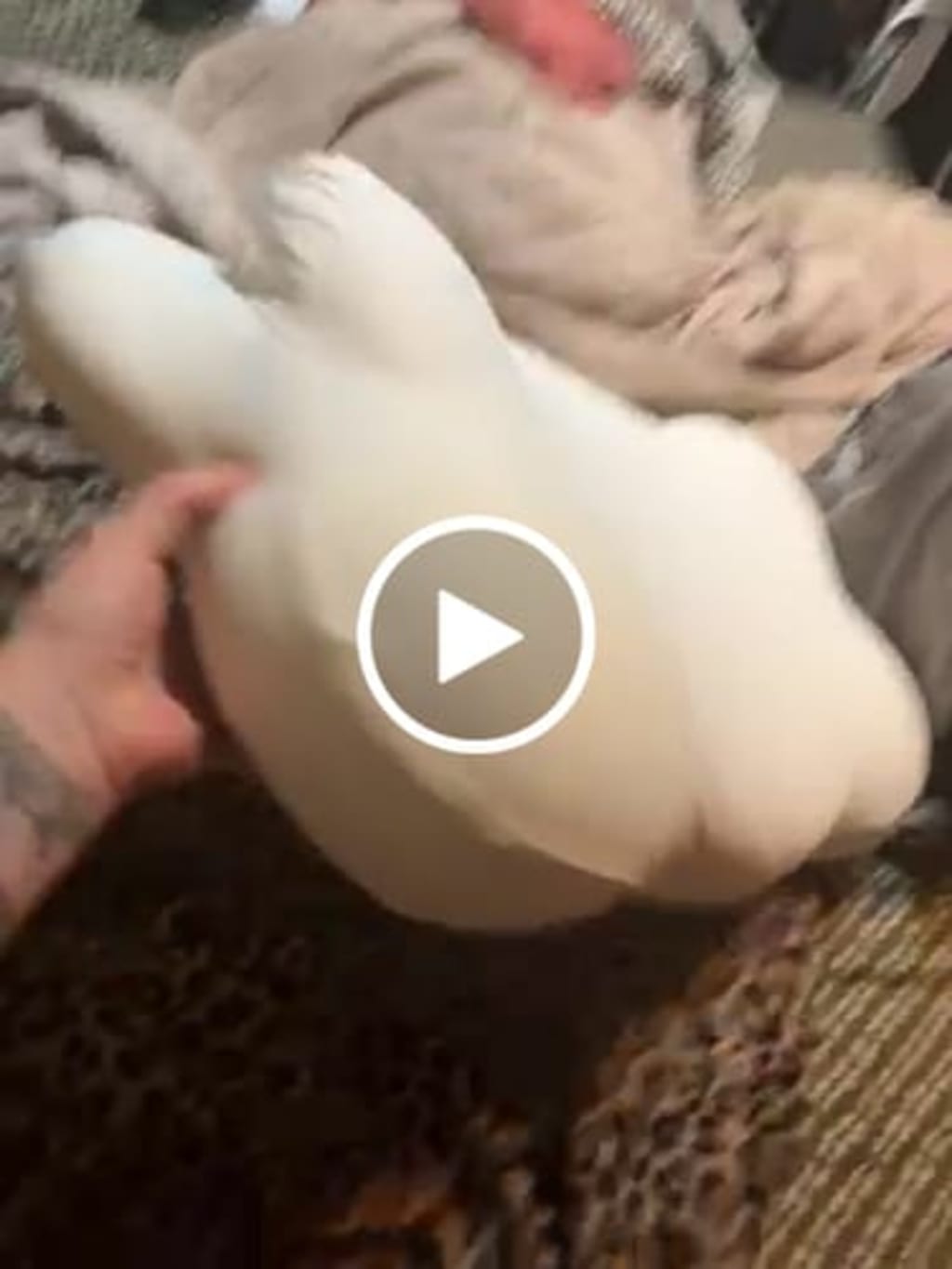 Mellow CloudAlign™ Pillow