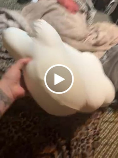 Mellow CloudAlign™ Pillow